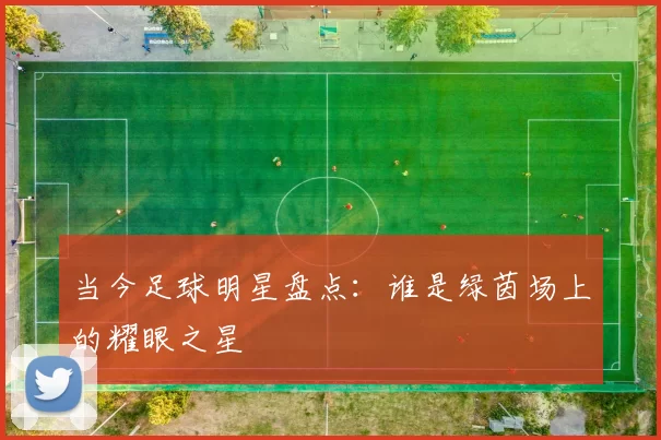 当今足球明星盘点：谁是绿茵场上的耀眼之星