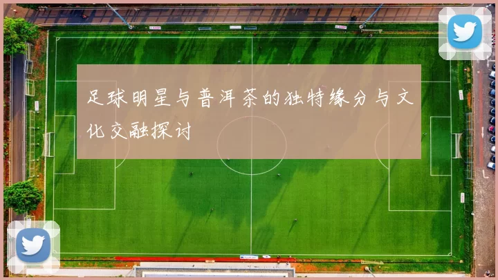足球明星与普洱茶的独特缘分与文化交融探讨