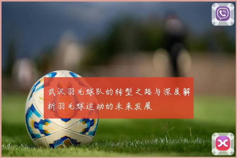武汉羽毛球队的转型之路与深度解析羽毛球运动的未来发展