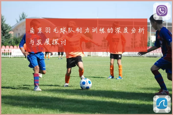 南京羽毛球队耐力训练的深度分析与发展探讨