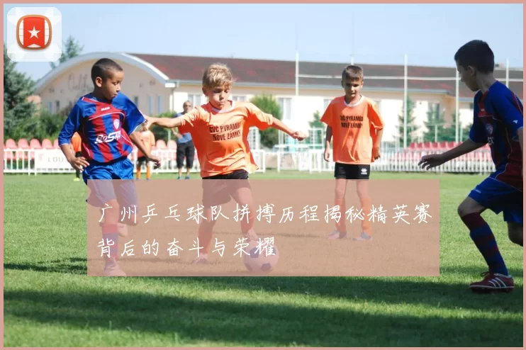 广州乒乓球队拼搏历程揭秘精英赛背后的奋斗与荣耀