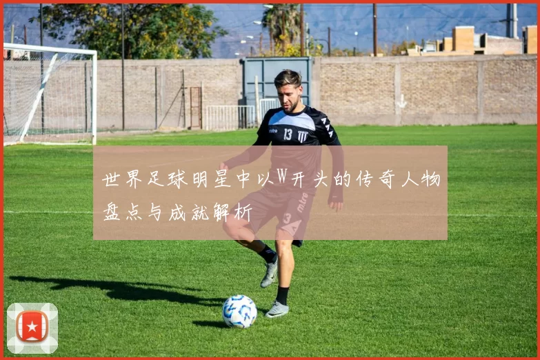 世界足球明星中以W开头的传奇人物盘点与成就解析