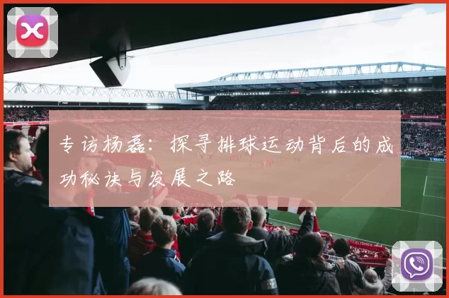 专访杨磊：探寻排球运动背后的成功秘诀与发展之路