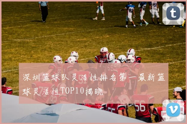 深圳篮球队灵活性排名第一最新篮球灵活性TOP10揭晓