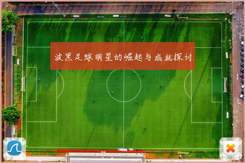波黑足球明星的崛起与成就探讨
