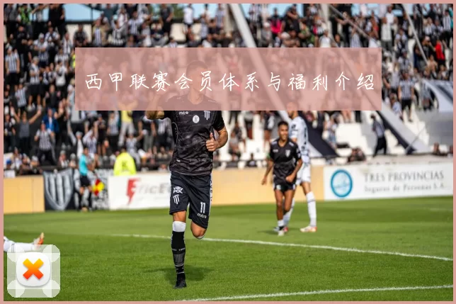 西甲联赛会员体系与福利介绍