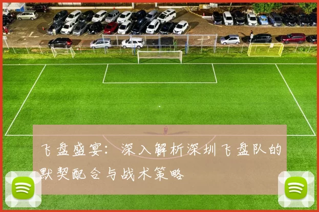 飞盘盛宴：深入解析深圳飞盘队的默契配合与战术策略