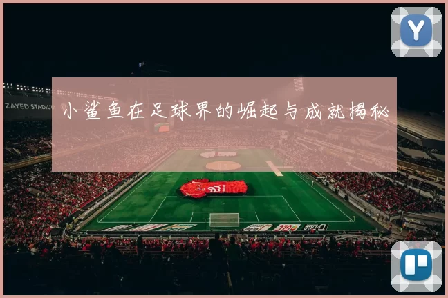 小鲨鱼在足球界的崛起与成就揭秘