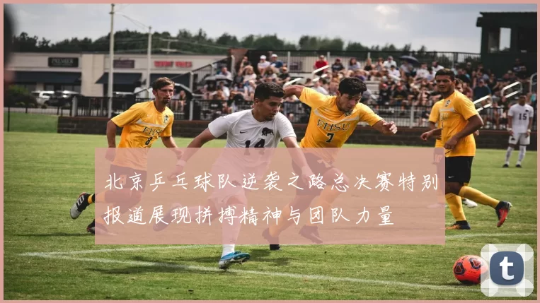 北京乒乓球队逆袭之路总决赛特别报道展现拼搏精神与团队力量