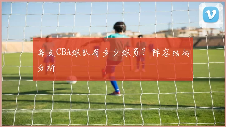 每支CBA球队有多少球员？阵容结构分析