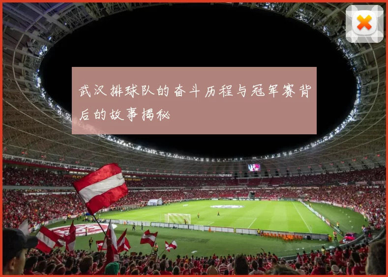 武汉排球队的奋斗历程与冠军赛背后的故事揭秘