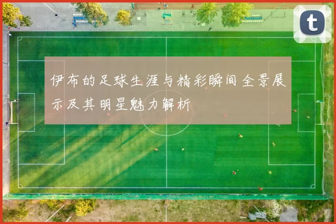 伊布的足球生涯与精彩瞬间全景展示及其明星魅力解析