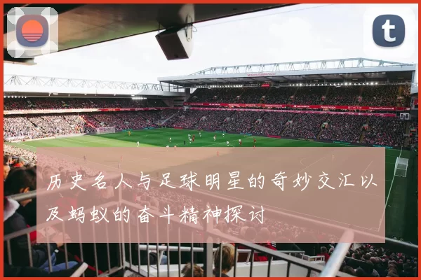 历史名人与足球明星的奇妙交汇以及蚂蚁的奋斗精神探讨