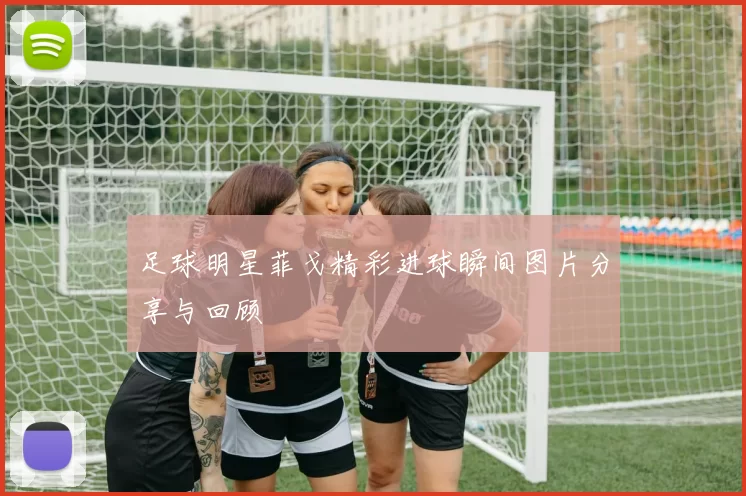 足球明星菲戈精彩进球瞬间图片分享与回顾