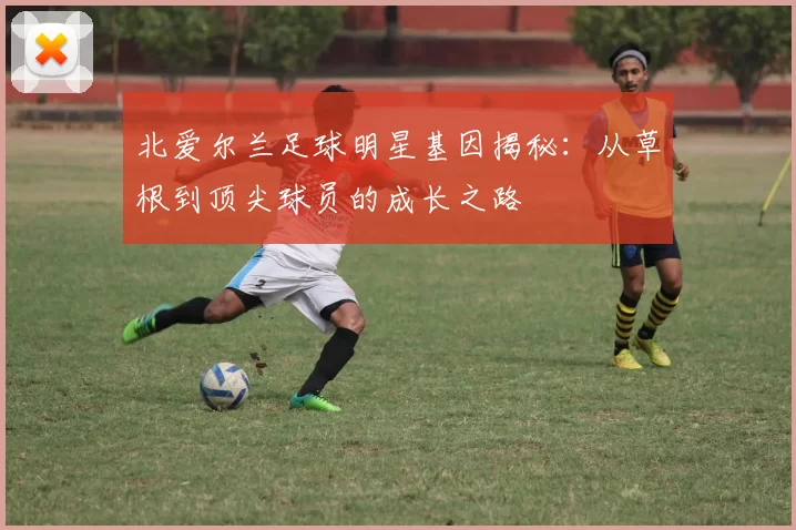 北爱尔兰足球明星基因揭秘：从草根到顶尖球员的成长之路