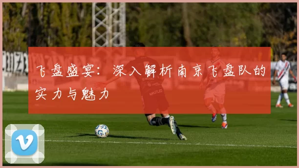 飞盘盛宴：深入解析南京飞盘队的实力与魅力