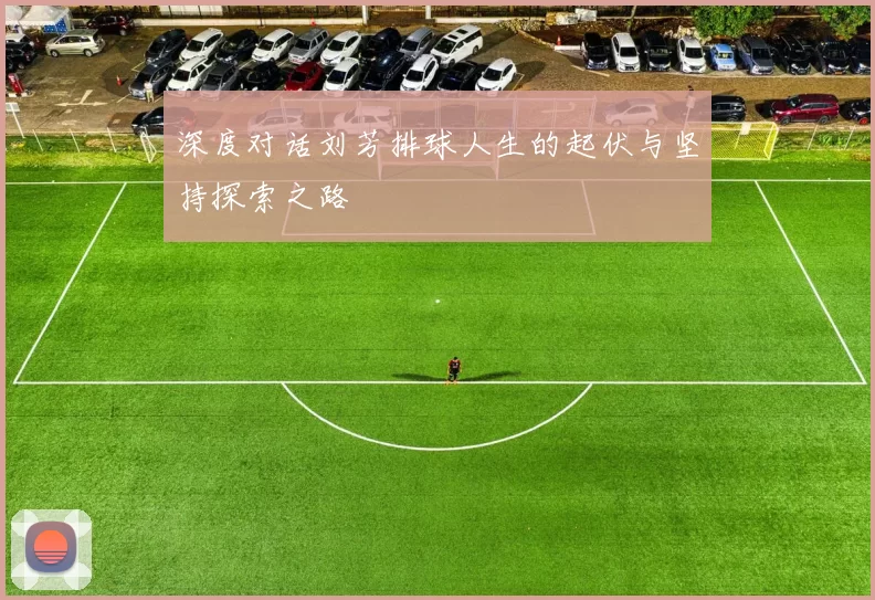深度对话刘芳排球人生的起伏与坚持探索之路