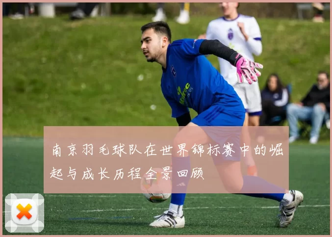 南京羽毛球队在世界锦标赛中的崛起与成长历程全景回顾