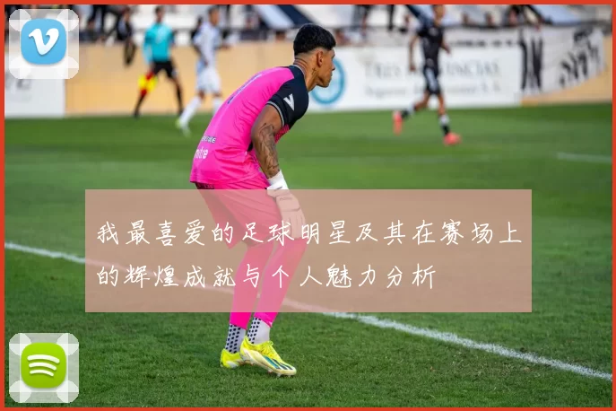 我最喜爱的足球明星及其在赛场上的辉煌成就与个人魅力分析