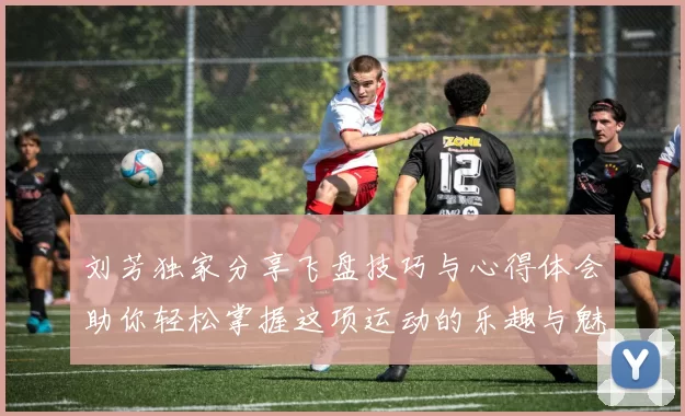 刘芳独家分享飞盘技巧与心得体会助你轻松掌握这项运动的乐趣与魅力