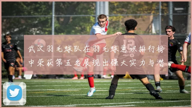 武汉羽毛球队在羽毛球意识排行榜中荣获第五名展现出强大实力与潜力