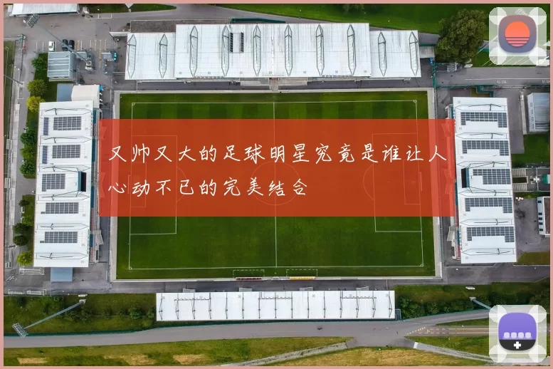 又帅又大的足球明星究竟是谁让人心动不已的完美结合